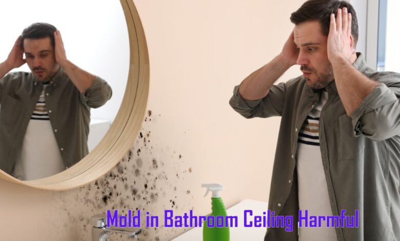 Mold in Bathroom Ceiling Harmful