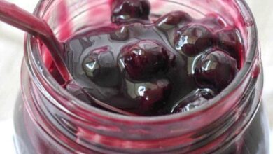 Canned Blueberry Pie Filling Recipe