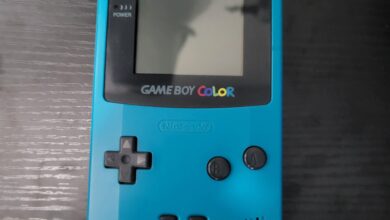 Can You Play Gameboy Games on Gameboy Color