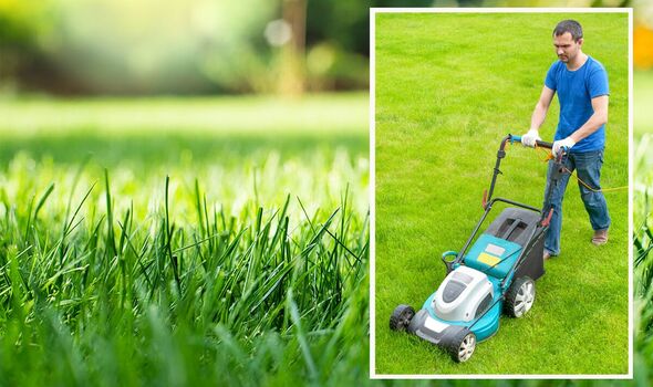 When is the Best Time to Mow