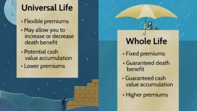 Cash Surrender Value Life Insurance